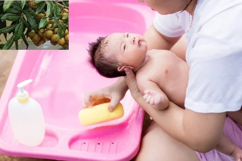 Tắm lá nhãn có tác dụng gì
