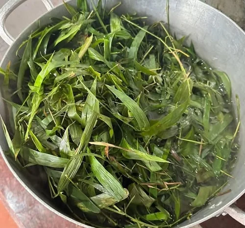 Tắm lá tre có tác dụng gì