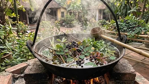 Tắm nước lá cây phèn đen cho bé sơ sinh