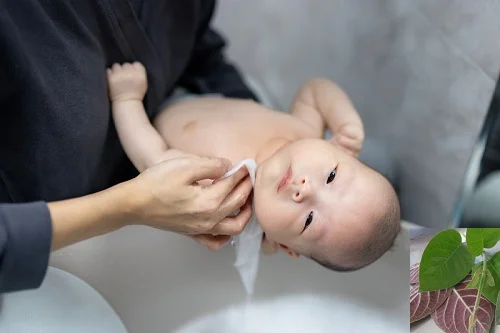 Cách tắm lá mơ lông cho trẻ để giảm mẩn ngứa, rôm sảy