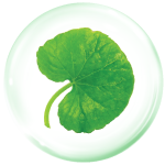 rau-ma