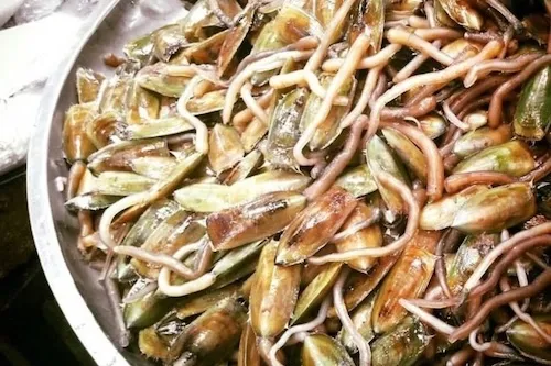 giá bể xào dị ứng