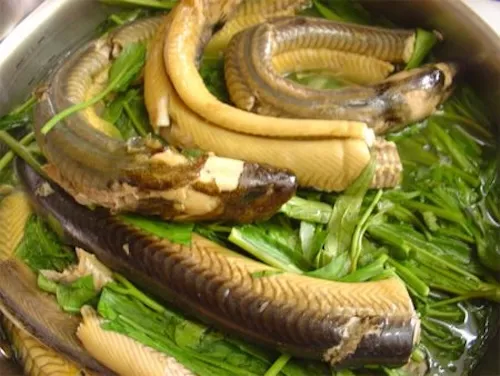 lươn có gây ra dị ứng không