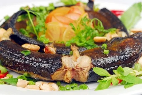 Dị Ứng Lươn: Nguyên Nhân, Biểu Hiện Và Bí Quyết Ăn Lành Mạnh