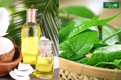 bé bị chàm sữa bôi dầu dừa được không