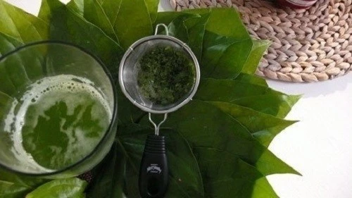 cách chữa chàm sữa bằng lá trầu không