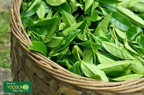 Cách trị hăm nách ở trẻ sơ sinh
