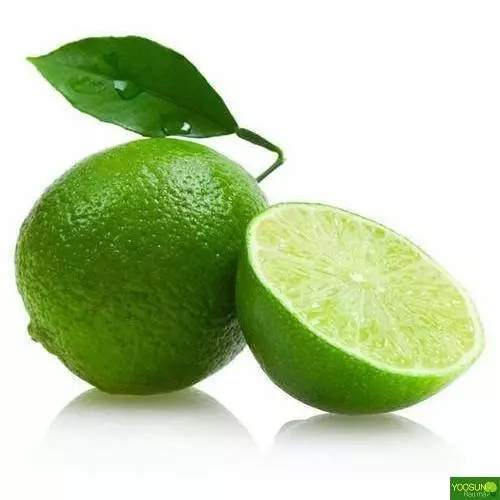 Hướng dẫn cách trị mụn từ chanh