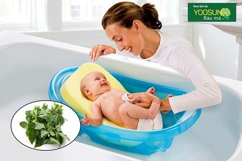 Mẹo chữa chàm sữa ở trẻ sơ sinh bằng lá kinh giới