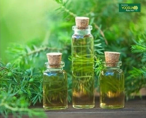 Bị mụn ở cằm và cách điều trị