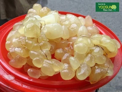 Cách chữa thâm mụn bằng mỡ trăn