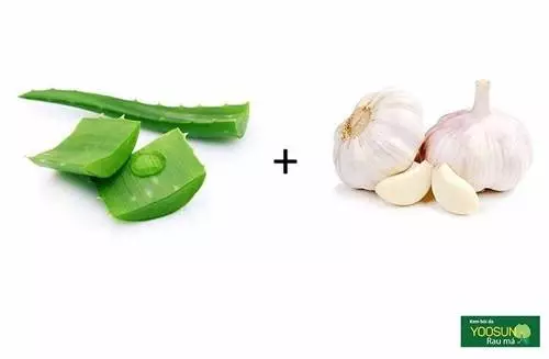 Cách trị mụn bằng tỏi webtretho