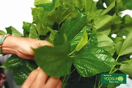 Cách trị mụn bọc không nhân