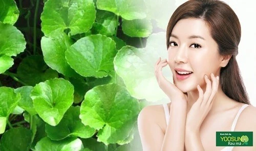 Cách trị mụn bọc tại nhà hiệu quả