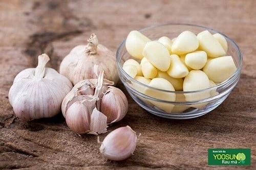Cách trị mụn ở trán hiệu quả nhất