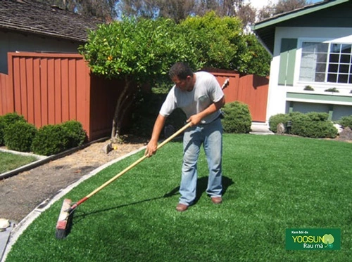 Cách xử lý khi bị bọ cạp cắn hiệu quả nhất Cách xử lý khi bị bọ cạp cắn