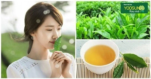 Đặc trị thâm mụn bằng trà xanh