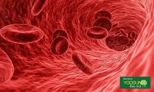 Một số bệnh ngoài da thường gặp