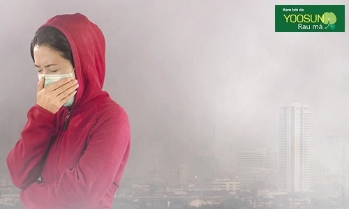 Bị dị ứng bụi là như thế nào? Bị dị ứng bụi