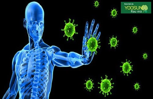 Cách chữa dị ứng bụi vải hiệu quả nhất Cách chữa dị ứng bụi vải