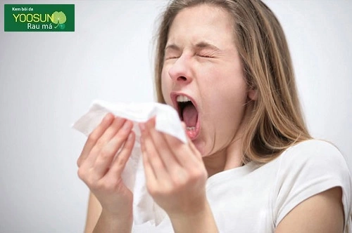 Dị ứng bụi bẩn triệu chứng gì? Dị ứng bụi bẩn