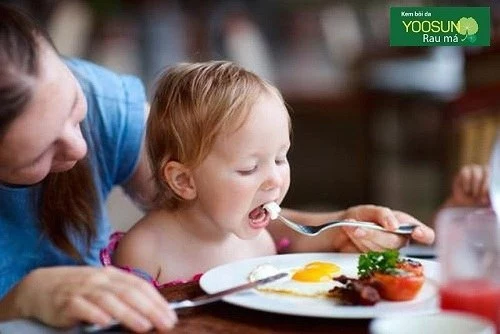Dị ứng trứng gà ở người lớn