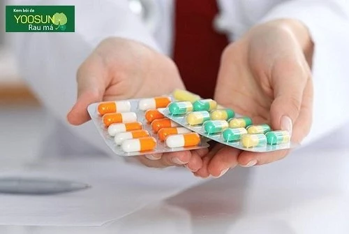 Thuốc dị ứng phấn hoa