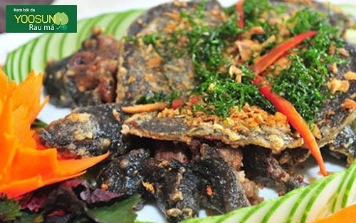 Bị dị ứng với baba