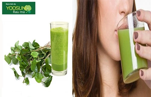 Bị mụn nội tiết nên uống gì