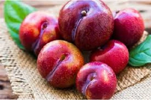 Liệu ăn mận có gây nổi mụn không Ăn mận có gây nổi mụn không