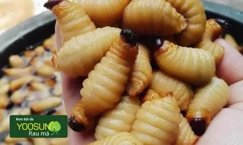 bị dị ứng đuông dừa