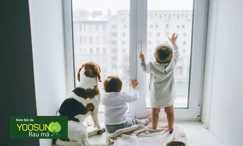 dấu hiệu dị ứng lông mèo