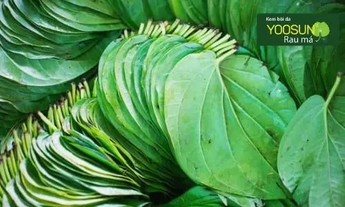 wax lông bị viêm lỗ chân lông