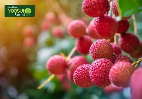 Những loại hoa quả ăn dễ bị rôm sảy và lưu ý khi ăn vào ngày hè