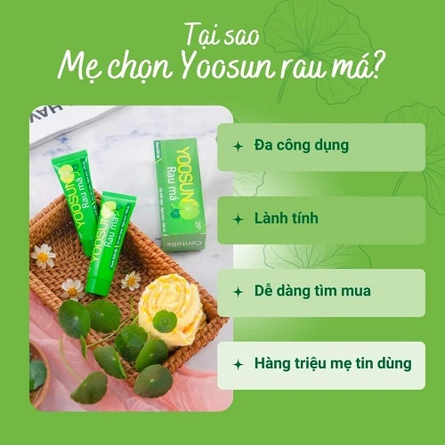 Tác dụng của tắm lá cúc tần cho bé