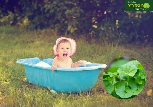 tắm bằng nước lá rau má