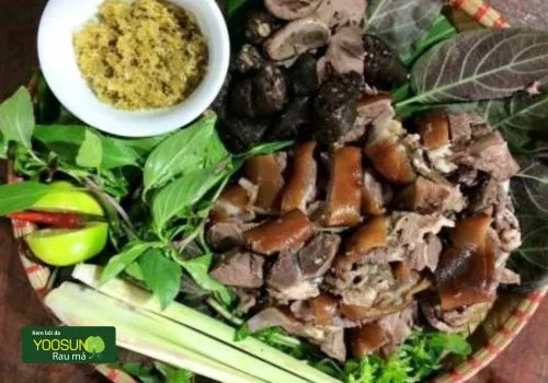 Bị thủy đậu có ăn được thịt chó không
