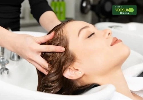 bị thủy đậu có gội đầu được không