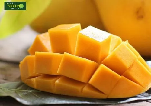 Bị thủy đậu ăn xoài được không