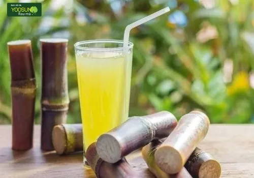 Bị thủy đậu có nên uống nước mía không vậy? Bị thủy đậu có nên uống nước mía không