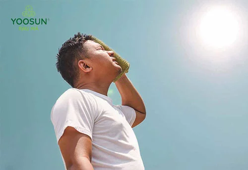 tìm hiểu về rôm sảy mùa hè