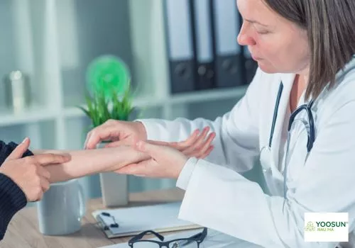 chữa viêm da cơ địa từ lá lốt